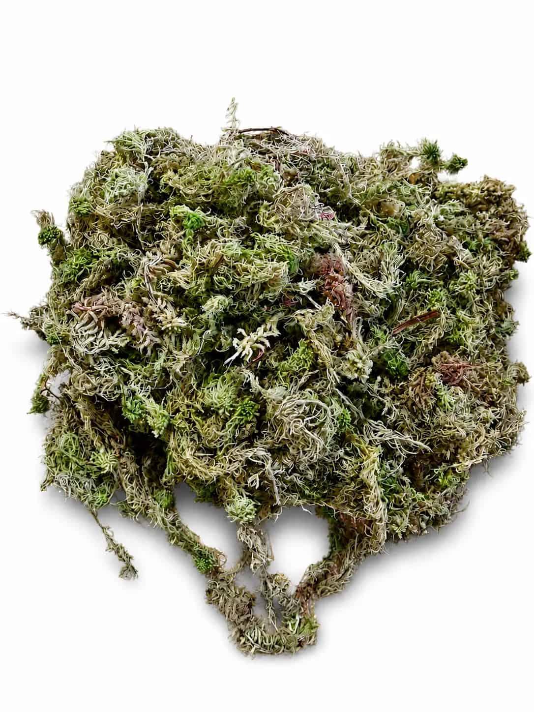 Musgo Verde (Branco) Seco